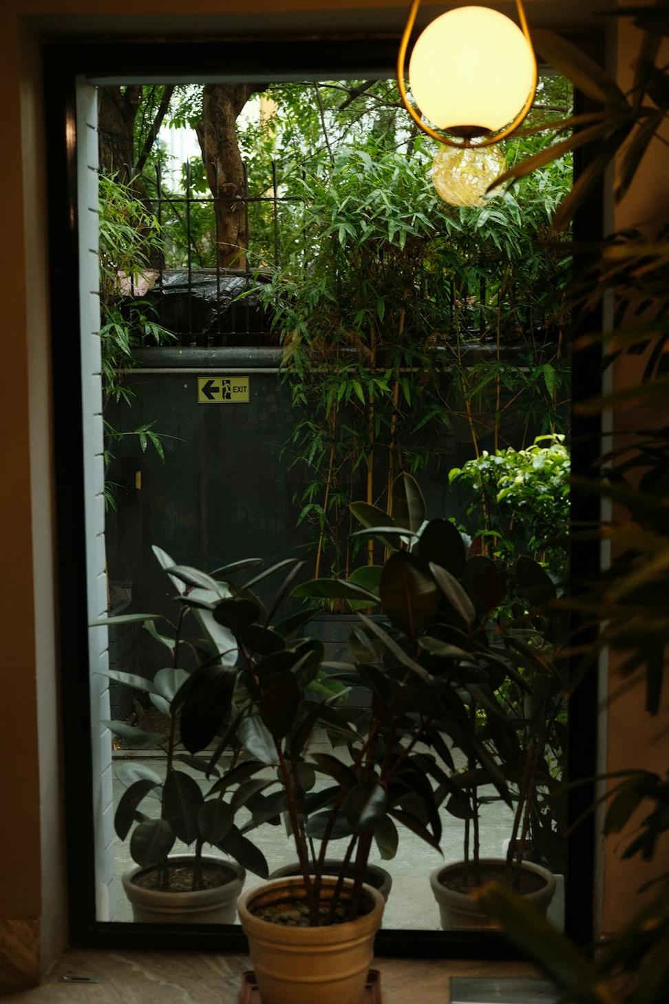 Garden Sanctuary Room